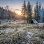 Ett stort kalhygge fyllt med stubbar och kvarlämnat ris, omgivet av stående skog.